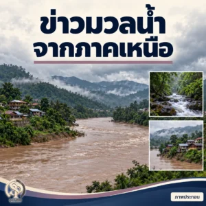 Read more about the article น้ำเหนือ